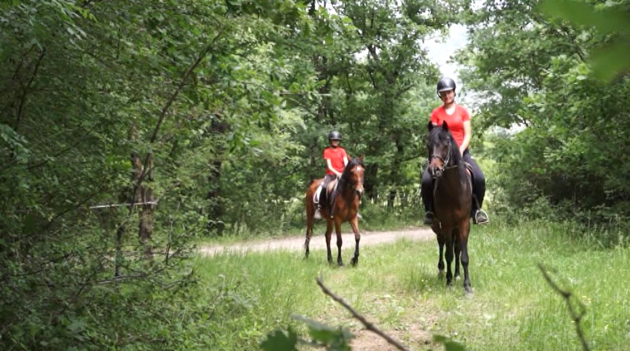 Konjički klub Stina nudi mogućnost aktivnog turizma za cijelu obitelj
